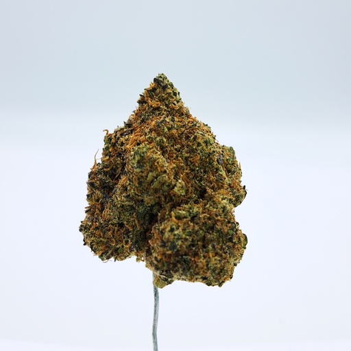 [AAA-PlKu-OR1] Pluto Kush (AAA)