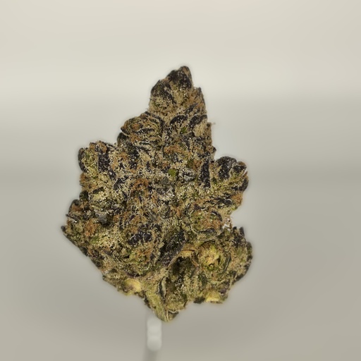 [IND-PuMi-CA] Pure Michigan (IND)